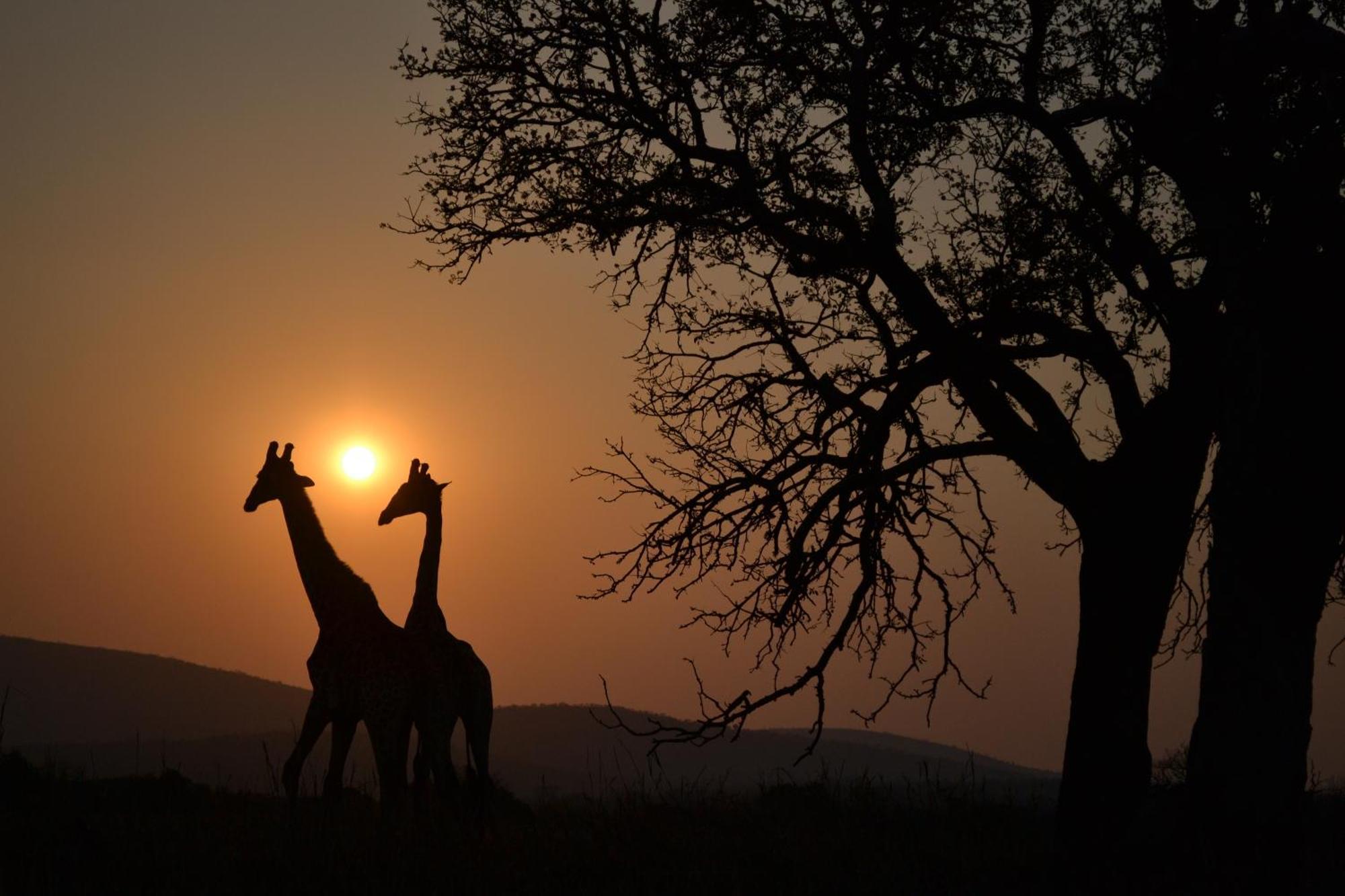 Leopard Mountain Safari Lodge Manyoni Private Game Reserve Екстер'єр фото